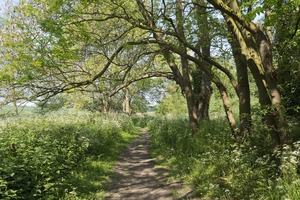 portada-rutas-y-sendas